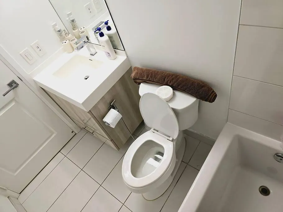 Stylish Luxe Apartment 1 Bedrom With Sofa Bed Toronto 0*,