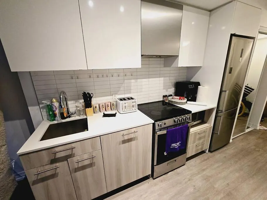 Stylish Luxe Apartment 1 Bedrom With Sofa Bed Toronto 0*,  Canada
