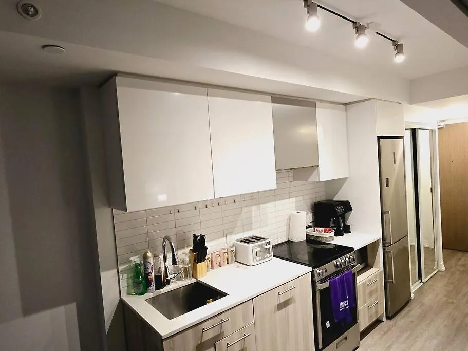 Stylish Luxe Apartment 1 Bedrom With Sofa Bed Toronto Canada