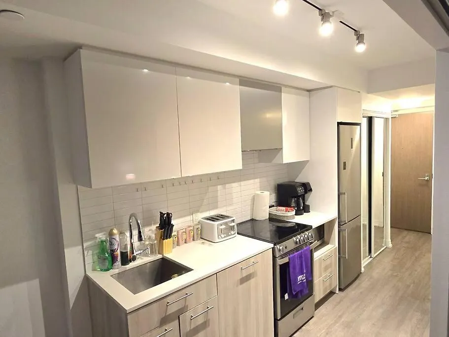 Stylish Luxe Apartment 1 Bedrom With Sofa Bed Toronto 0*,  Canada